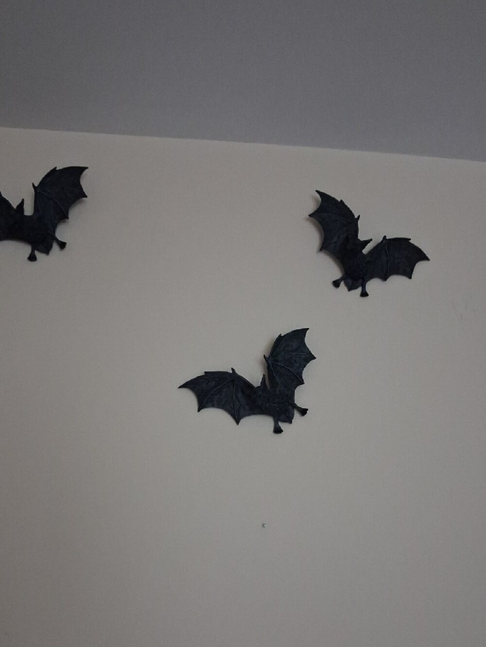 Black Bat Wall Decals - Decorative Home Wall Decor